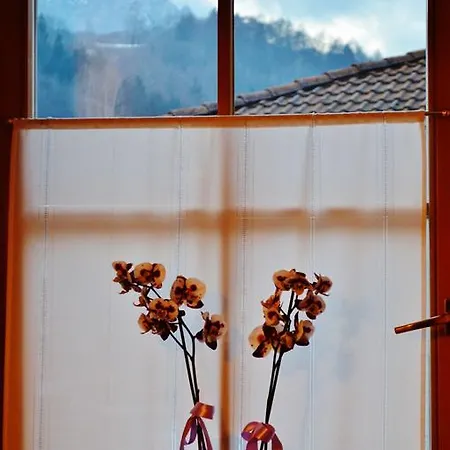 Locanda Le Tre Oche 3* 몰리나디레드로
